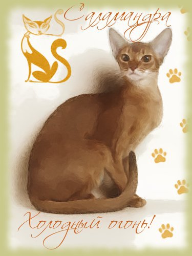 Саламандра